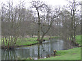 River Wye near Ashford in the Water.. in DE45 1PX