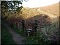 Path junction, Warren House Gill in SR8 3SX