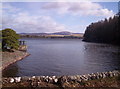 Loch of Lintrathen in DD8 5JJ