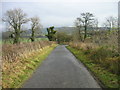 Road and footpath to Frankham Fell in Warden