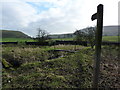 Footbridges and footpath sign in Worston