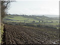 2009 : Ploughed field near Murder Combe in BA11 3JR