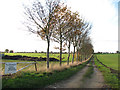 Public footpath to Mulbarton in NR14 8DJ