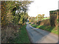 View north-east along the lane to Swardeston in NR14 8DJ