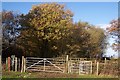 Kissing gates on a track junction in ME13 9PH