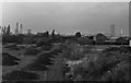 Track bed of the closed Walsall - Wolverhampton line looking towards Noose Land Bridge and Wednesfield. 1978. in WV13 3AQ