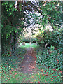 Path traversing churchyard in NR14 8JU