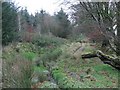 Old track from Blean-y-cwm in SA19 8NP