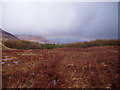 Peat bog above Lochcarron in IV54 8UE