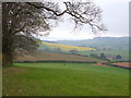 Ash Farm from Haydon Common in EX6 8EU
