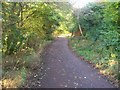Taff Trail/NCN 8 route between Llandaff and Forest Farm in Whitchurch Community