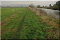 Riverside footpath near Eckington in WR10 3BH