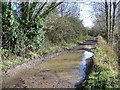 Bridleway, Bleet in BA14 6DD