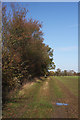 Footpath at The Broadway, Badwell Ash in Badwell Ash