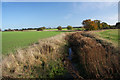 Black Bourn river near Tostock in IP30 9PT