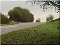 Junction on the A38 in TA6 6NP