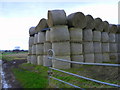 Bales near Rhynie in IV20 1TS