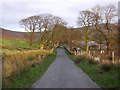 Road approaching Hazelhurst farm, Bleasdale in Bleasdale