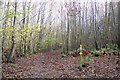 Footpath junction near Bigbury Camp in Howfield Wood in CT4 7NG