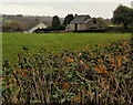 Edge of Cwm Farm from Cwm Lane in Rogerstone Community