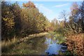 Flooded Footpath in Blean Woods in CT2 9BZ