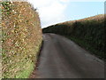 Lane to Clyst St Lawrence in EX15 2NP