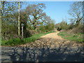 Bridleway, Dorset in BH21 8LN