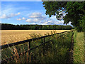 Bridleway and farmland, Checkendon in RG4 9HP