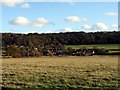 Aldbury, seen from the Gallops in HP23 5RR