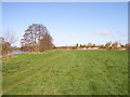 Thames-side meadows, Dorchester in OX10 7JX