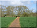 Footpath at Lower Grange in OX10 7AA