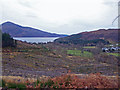 Felled forest above Balmacara in IV40 8DH
