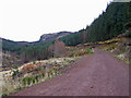 Forestry track above Balmacara in IV40 8DH