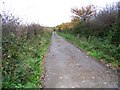 Footpath near Pilford Farm in BH21 7AR