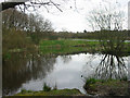 Pond at Barlaston Common in ST3 7PG