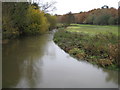 River Wey at Tilford in GU10 2BW