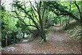 Footpath above Colley Pits in RH2 9JH