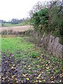 Footpath near Mildenhall in SN8 2LY