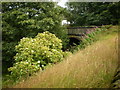 Former bridge on the Queensbury to Keighley Railway in BD15 0BS