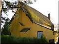 Rose Cottage, Westwood in EX5 3DH