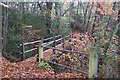 Footbridge in Gravel Pit Wood in TN17 2PG