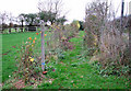 Footpath to the Beck in IP20 9NL