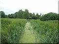 Carlton Marshes Nature Reserve in Carlton Colville