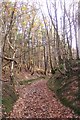 Ancient Track in Burnt Bank Wood in TN17 2PG