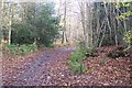 Footpath junction on the High Weald Landscape Trail in TN17 2PG