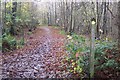 Footpath junction on High Weald Landscape Trail in TN17 2PG
