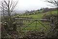 Footpath from Mole's Head to Hollin Hall Lane in HD7 4LL