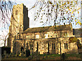 St Mary Magdalene's church in low November sunshine in Pulham Market