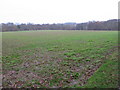 Footpath crossing field near Muntham House School in RH13 0NU