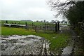 Sheep pens at Lake House Ground in Newcastle on Clun